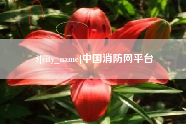 阜阳中国消防网平台