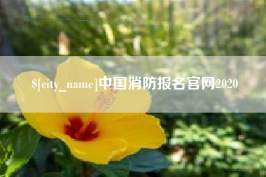 阜阳中国消防报名官网2020