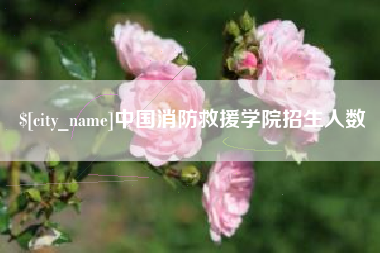 阜阳中国消防救援学院招生人数