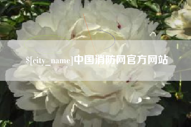 阜阳中国消防网官方网站