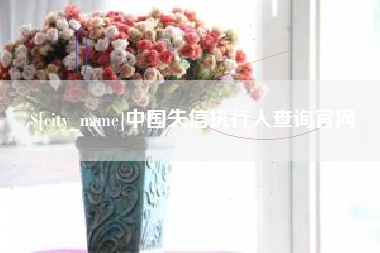 阜阳中国失信执行人查询官网