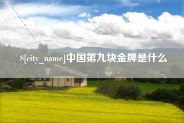 阜阳中国第九块金牌是什么