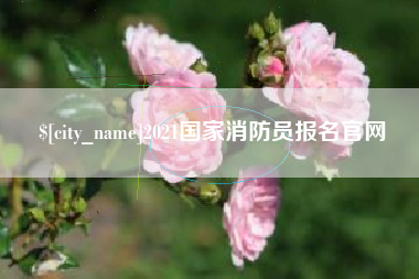 阜阳2021国家消防员报名官网
