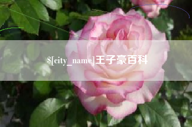 阜阳王子豪百科