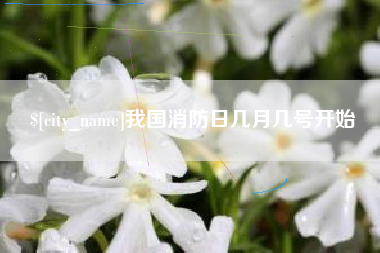阜阳我国消防日几月几号开始