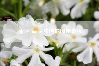 阜阳中国地图像素版