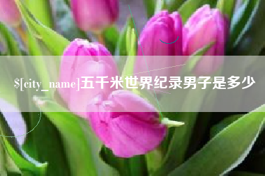 阜阳五千米世界纪录男子是多少