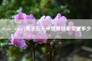 阜阳男子五千米世界冠军奖金多少