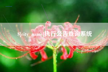 阜阳执行公告查询系统