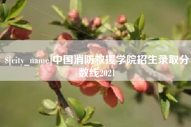 阜阳中国消防救援学院招生录取分数线2021