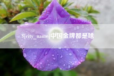 阜阳中国金牌都是啥