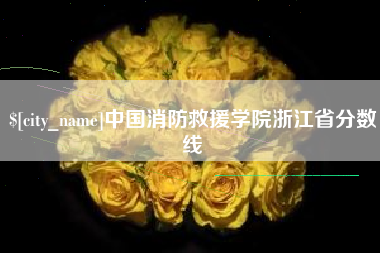阜阳中国消防救援学院浙江省分数线
