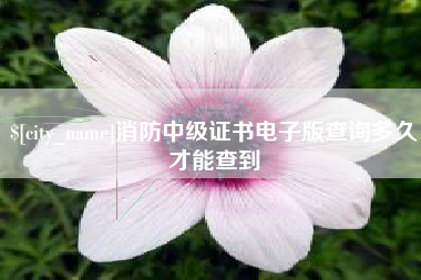 阜阳消防中级证书电子版查询多久才能查到