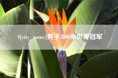 阜阳男子5000米世界冠军