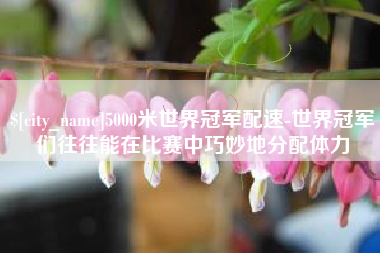 阜阳5000米世界冠军配速-世界冠军们往往能在比赛中巧妙地分配体力