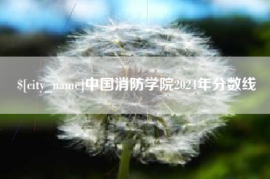 阜阳中国消防学院2024年分数线