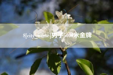 阜阳男子5000米金牌