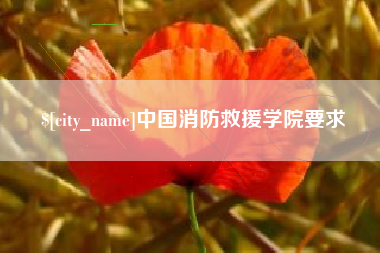 阜阳中国消防救援学院要求
