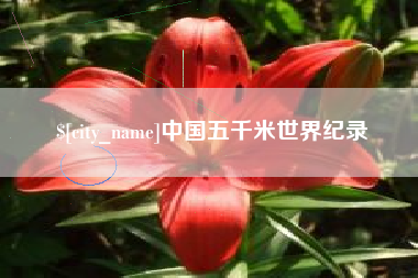 阜阳中国五千米世界纪录