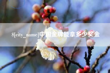 阜阳中国金牌能拿多少奖金