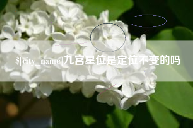 阜阳九宫星位是定位不变的吗