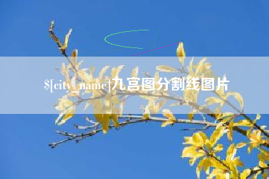 阜阳九宫图分割线图片