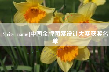 阜阳中国金牌图案设计大赛获奖名单
