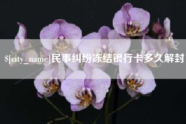 阜阳民事纠纷冻结银行卡多久解封
