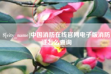 阜阳中国消防在线官网电子版消防证怎么查询