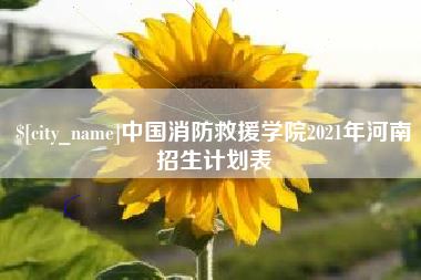 阜阳中国消防救援学院2021年河南招生计划表