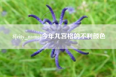 阜阳今年九宫格的不利颜色