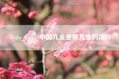 阜阳中国九金是哪九金的简称