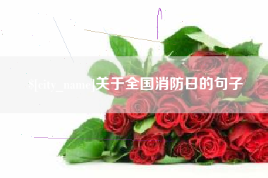 阜阳关于全国消防日的句子