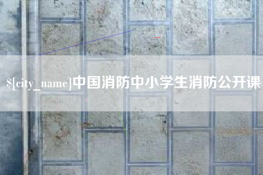 阜阳中国消防中小学生消防公开课
