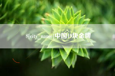 阜阳中国19块金牌