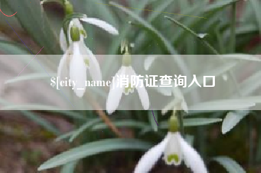 阜阳消防证查询入口