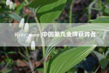 阜阳中国第九金牌获得者