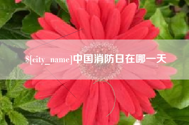 阜阳中国消防日在哪一天
