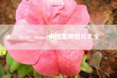 阜阳中国金牌图片大全