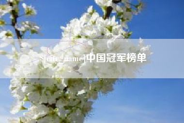 阜阳中国冠军榜单