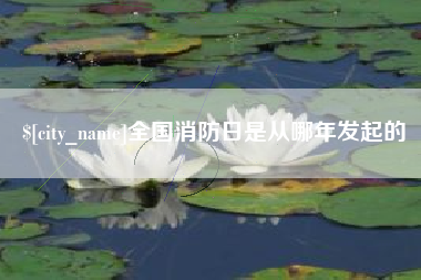 阜阳全国消防日是从哪年发起的