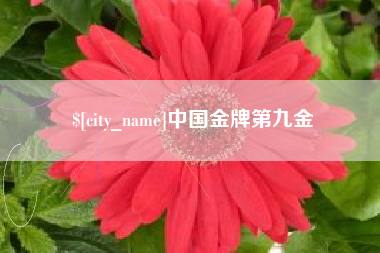 阜阳中国金牌第九金