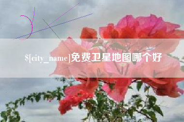 阜阳免费卫星地图哪个好