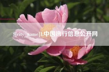 阜阳1.中国执行信息公开网