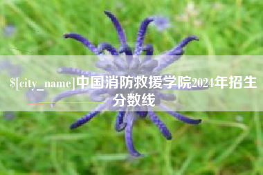 阜阳中国消防救援学院2024年招生分数线