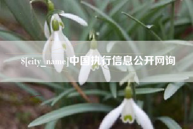 阜阳中国执行信息公开网询
