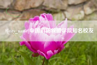 阜阳中国消防救援学院知名校友