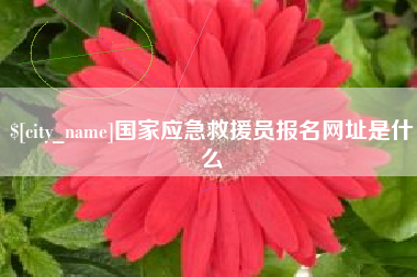 阜阳国家应急救援员报名网址是什么