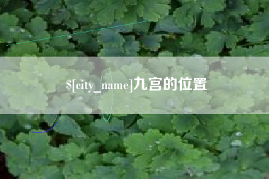 阜阳九宫的位置