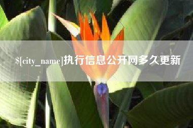 阜阳执行信息公开网多久更新